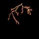 Blossom LED Chandelier - Matte White / Autumn