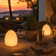Point LED Outdoor/Indoor Lamp - White / 