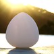 Rocky LED Outdoor/Indoor Lamp - White Rocky LED Outdoor/Indoor Lamp - White /