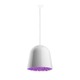 Can Can Pendant -  / White / Violet