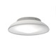 Lunex Wall / Ceiling Mount CFL - White / White Lunex Wall / Ceiling Mount CFL - White / White