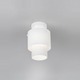 Ambit Ceiling Mount - White / White