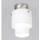 Ambit Ceiling Mount - Nickel / White