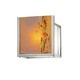 Avenue Open Wall Sconce - Satin Nickel / Mocha Avenue Open Wall Sconce - Satin Nickel / Mocha