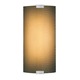 Omni Medium Outdoor Wall Sconce W / Cover - Silver / Dark Amber