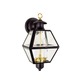 Olde Colony Exterios Wall Mount - Black / Clear