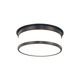 Geneva Ceiling Mount - Old Bronze / Opal / Glossy Geneva Ceiling Mount - Old Bronze / Opal / Glossy