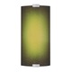 Omni Medium Outdoor Wall Sconce W / Cover - Silver / Green