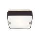 Province Ceiling - Satin Nickel / Black Province Ceiling - Satin Nickel / Black