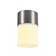 Rox Acrylic C Exterior Ceiling Flush Mount - Natural Aluminum / White