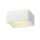 Theo CL Exterior Wall Sconce - White / Frosted
