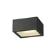 Theo CL Exterior Wall Sconce - Anthracite / Frosted