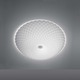 Cosmic Rotation Wall / Ceiling Mount -  / Opal