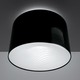 Polinnia Ceiling Light - Polished Black Polinnia Ceiling Light - Polished Black /
