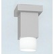 Dupla Halogen Ceiling Light  - Grey / White