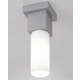 Dupla Indoor Outdoor Ceiling Light - Grey / White Dupla Indoor Outdoor Ceiling Light - Grey / White