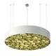 Spiro Pendant - White / Green Wood Spiro Pendant - White / Green Wood