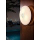 Opalika Ceiling or Wall Light Decorative Center - Polished Brass / Frosted Opalika Ceiling or Wall Light Decorative Center - Polished Brass / Frosted