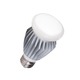High Output A19 Medium Base 13.5W 120V 4000K - Aluminum / White