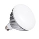 LED BR40 Medium Base 18W 120V 5000K - Aluminum / White LED BR40 Medium Base 18W 120V 5000K - Aluminum / White