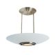 Argon Pendant / Ceiling Flush Mount - Brushed Steel / Frost