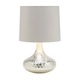 Tortoise Bottle Neck Table Lamp - Silver / Putty