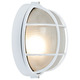 Nauticus Round Outdoor Bulkhead Wall - White / Frosted