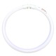 T5 Circline 2GX13 Base 22W 120V 3000K -  / 
