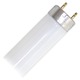 T8 Octron 800 Med BiPin Base 32W 120V 48in 3500K - T8 Octron 800 Med BiPin Base 32W 120V 48in 3500K - /