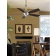 Celano Ceiling Fan - /