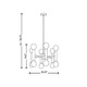 Darwin Multi Arm Pendant - /