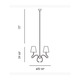 Prima 6 Light Chandelier - /