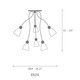 Rose Tulipe 6 Light Chandelier - /