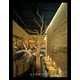 Stratus RGB Linear Wall Grazer -  / 