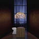 Crystal Waters Hood Suspension - /