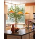 Freejack Mini Larkspur Pendant -  / 