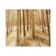 Shady Tree Pendant - White Shady Tree Pendant - / White