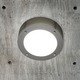 Lyra Indoor/Outdoor Ceiling/Wall Mount - Nickel / White