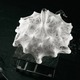 Zeppelin S1 Suspension - White Zeppelin S1 Suspension - / White
