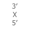 03ft x 5ft