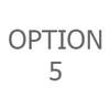 Option 5