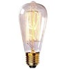 Edison ST Shape 60W Incandescent