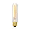 Edison Tube 30W Incandescent