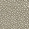 Coco Shagreen