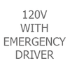 120V With Emergency Driver