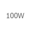 100 Watt