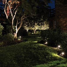 Landscape Lighting