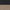 Black Oak / Logan Flint
