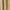 Blonde Wood