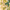 Green Floral Linen